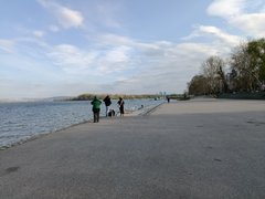 My Actifit Report Card: March 24 2026