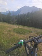 My Actifit Report Card: July 16 2025