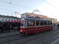 My Actifit Report Card: March 6 2026