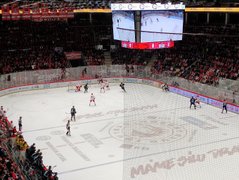 My Actifit Report Card: April 4 2026