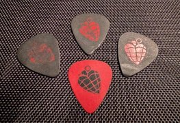 Green Day Guitar Picks! 🎸My Actifit Report Card: April 11 2026