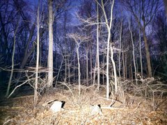 My Actifit Report Card: March 24 2026