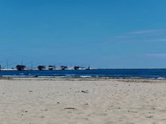 My Actifit Report Card: April 4 2026