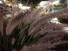 Photos, Book Progression And Busy week caelum1infernum Actifit Report Card: April 11 2024