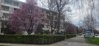 🚴‍♀️ A day full of movement and strength 💪🔥/🚴‍♀️ Dzień pełen ruchu i mocy 💪🔥
/My Actifit Report Card: April 2 2026