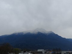 My Actifit Report Card: March 21 2026