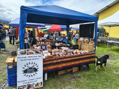 A little bit of sunshine. My Actifit Report Card: March 12 2026