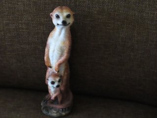 https://images.hive.blog/320x320/https://files.peakd.com/file/peakd-hive/papilloncharity/Eo8L7qGfD6TZZEbinmyNsy2b9tc4MnznvhgdHxqUjxwMmvzrqNMfzwYpdCNNGmo4zB6.JPG