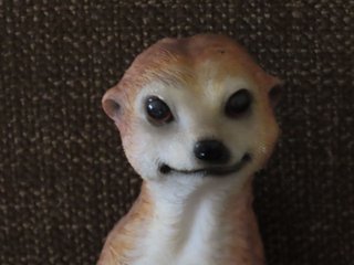 https://images.hive.blog/320x320/https://files.peakd.com/file/peakd-hive/papilloncharity/EoCbun8RVxkZGBH4B7gzSGGhExRQX6CTBqZXX6EZ1W7Tn3xv6HbcDFBNeCNhyVYGUbW.JPG