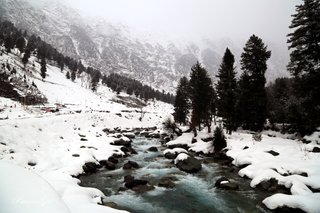https://images.hive.blog/320x320/https://images.ecency.com/DQmNXZzqR9yR7axFGVzFRFqkVP9KUmh1HhG3vijNR1DABAJ/2_2.jpg
