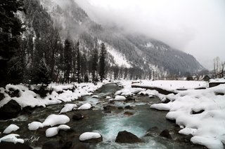 https://images.hive.blog/320x320/https://images.ecency.com/DQmRkFjJZmUYwB6UVvVv2jWMqTm7aaf4xpiMGfqoKTKhscA/1_1.jpg