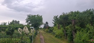 https://images.hive.blog/320x320/https://usermedia.actifit.io/032b8527-cc44-41d8-8f6d-7729d972fc01.jpg