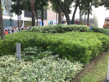 BGC Landscape2.jpg