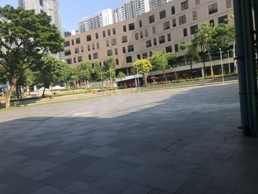 BGC Ground.jpg