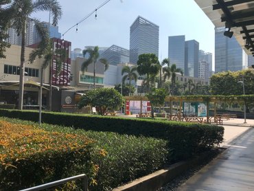 BGC Grounds.jpg