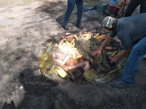 Barbacoa siendo destapado el horno y listo para servir