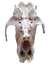 lil_image_preview.jpg