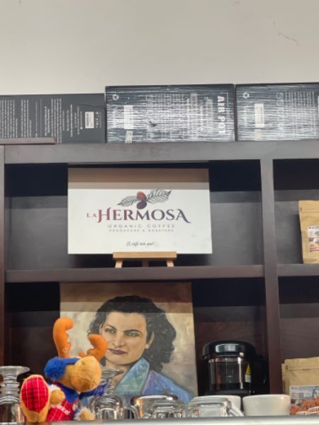 Hermosa Katrina-review-photo-by-pro-content-image-1