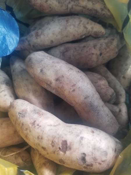 beccatessy foodstuffs and softdrinks-review-photo-by-kachy2022-image-1