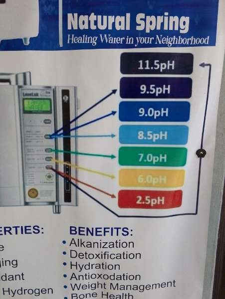 ENAGIC KANGEN MASHINE AND KANGEN WATER-review-photo-by-showking-image-3
