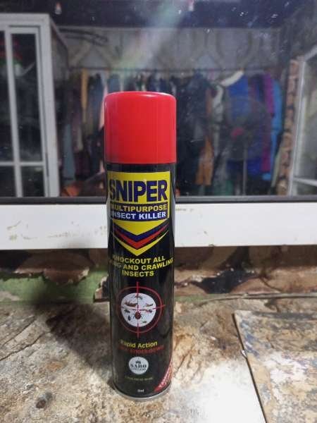 Eastern Beauty-review-photo-by-calebmarvel01-image-1