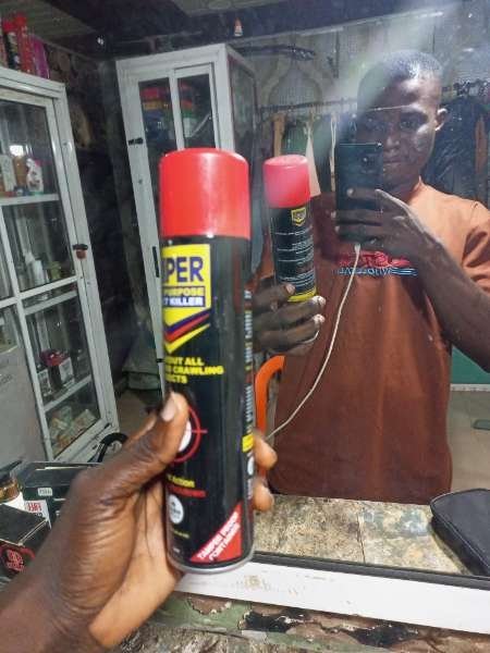 Eastern Beauty-review-photo-by-calebmarvel01-image-2