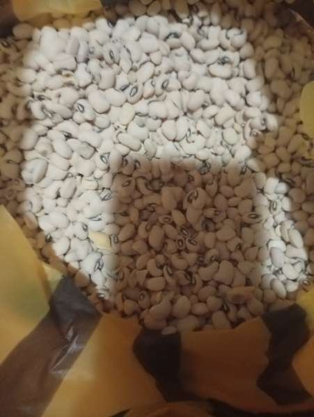 I visited BOUNTY NATURE'S MART & paid  & here is my review