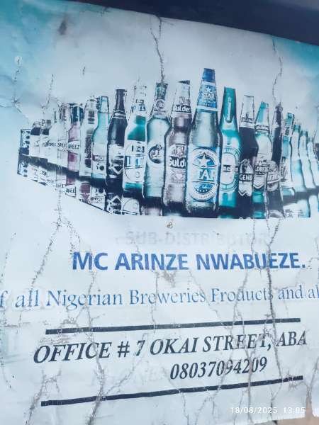 Mc Arinze Nwabueze-review-photo-by-fruityfaith-image-2