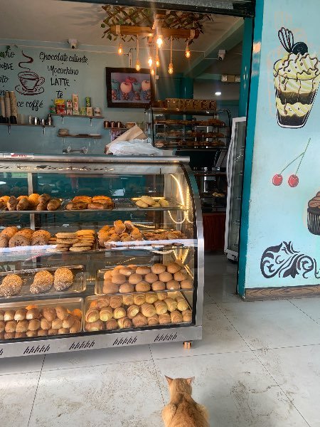 Sweet Spot Bakery & Cafe-review-photo-by-menoshops-image-1
