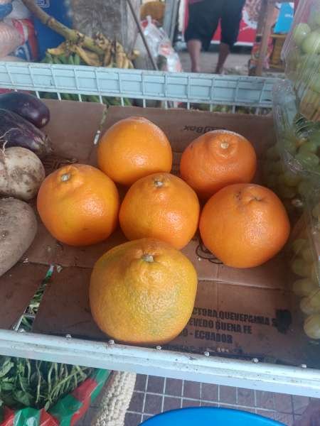 I visited Supermarket Leo & paid  & here is my review