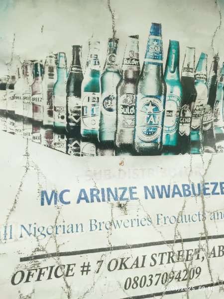 Mc Arinze Nwabueze-review-photo-by-otuumichael-image-2