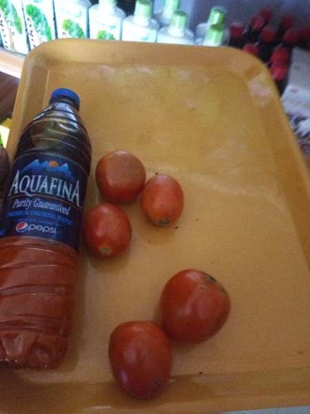 BOUNTY NATURE'S MART-review-photo-by-hidentreasure-image-2