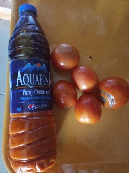 BOUNTY NATURE'S MART-review-photo-by-hidentreasure-image-1