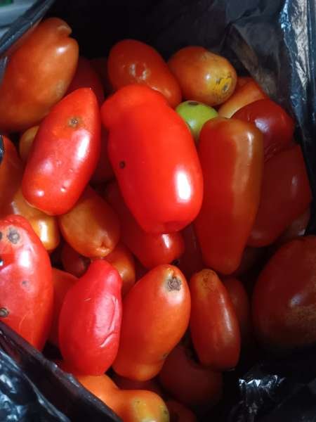 I visited beccatessy foodstuffs and softdrinks & paid  & here is my review