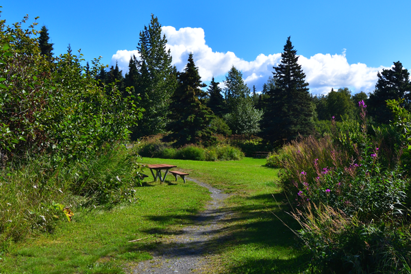 picnic spot from 2000.png