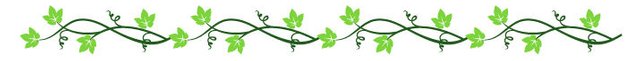 FloralDivider
