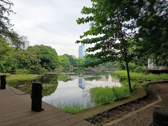 ref-c8f8231ec723.webp