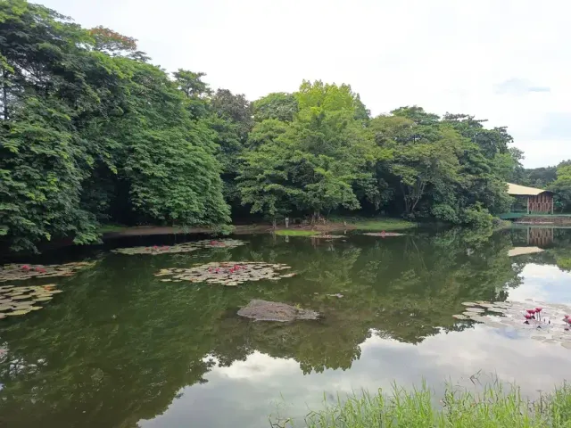 ref2-8b2e852436cb.webp