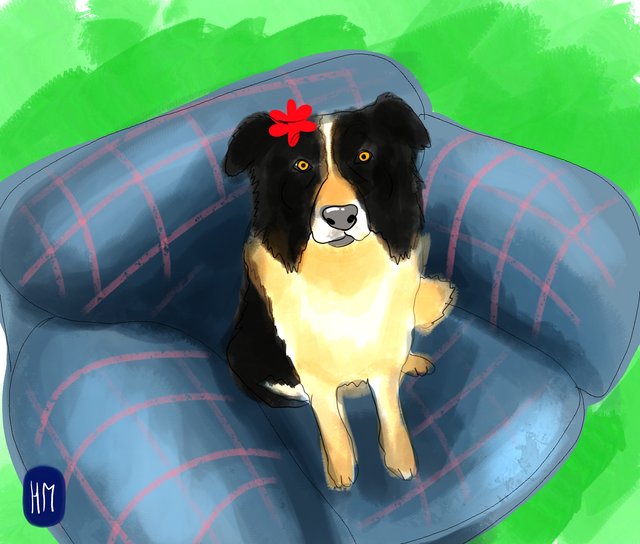 dogonsofa(432).jpg