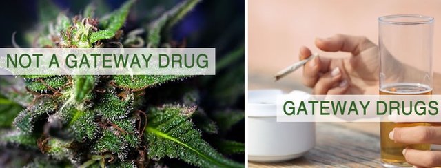 gateway-drug.jpg