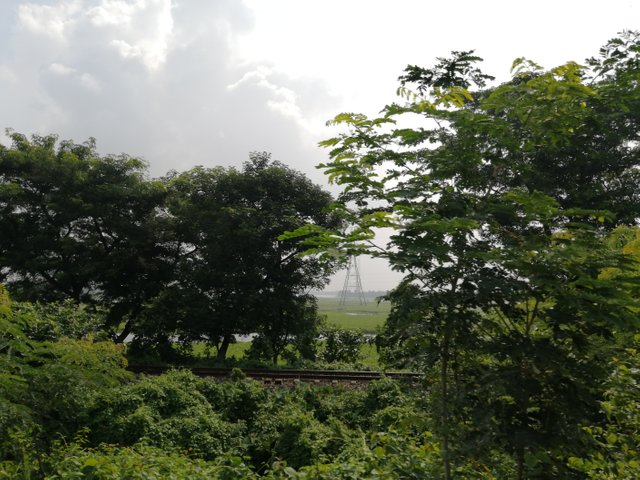 IMG_20191003_094412.jpg