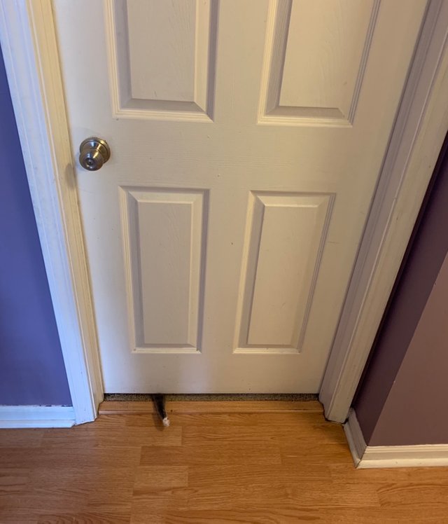 fullsizeoutput_361c.jpeg