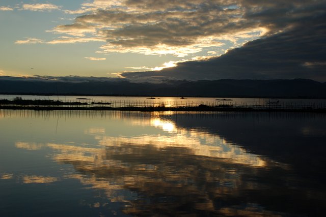 DSC_B.JPG