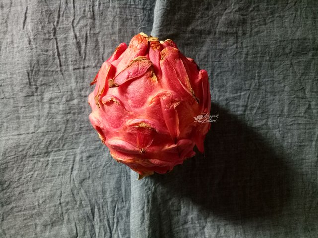 Dragon Fruit.jpg