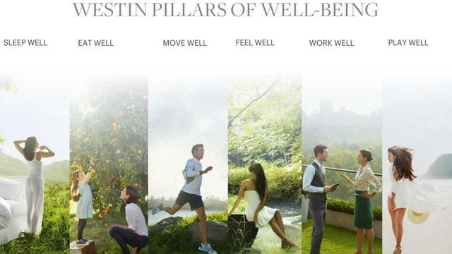 Westin Six Pillars of Wellness