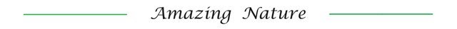 3W72119s5BjVs3Hye1oHX44R9EcpQD5C9xXzj68nJaq3Ce7oSuqFzJKHvCUGkA8eHQACmJL9zQB8MzKt9BYpwAuRhayontSxmqeQtmKSJ7pGT4N2kab6Wa.jpeg