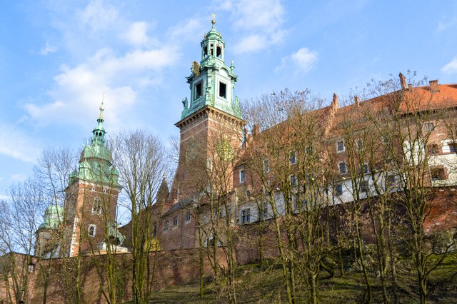 p10.jpg