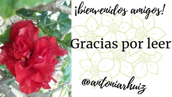 ¡bienvenido amigos!.jpg