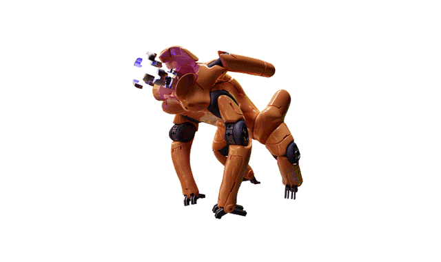 c5.gif