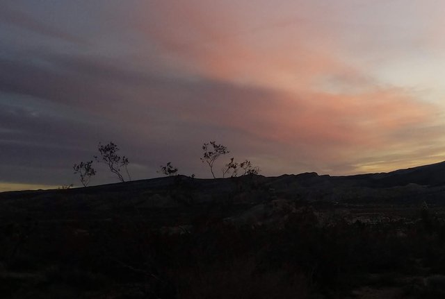 20190328_063955.jpg